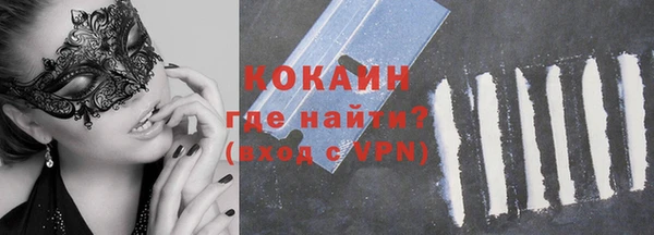 спиды Богданович