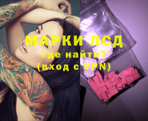 apvp Верея