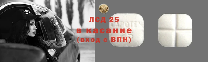 apvp Верея
